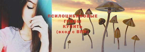 скорость Баксан