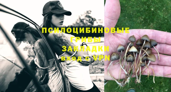 спиды Балахна
