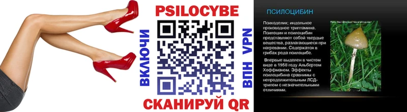 Псилоцибиновые грибы прущие грибы Высоцк