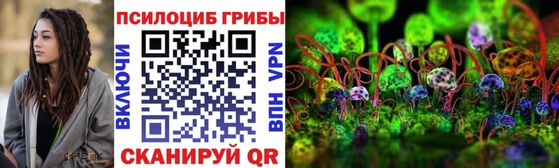 ОМГ ОМГ tor  Высоцк  Галлюциногенные грибы Cubensis 